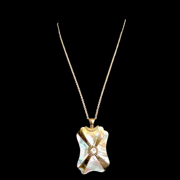 Jewelry - Abalone shell necklace. BNWT